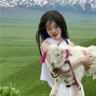 茶花村的幸福生活